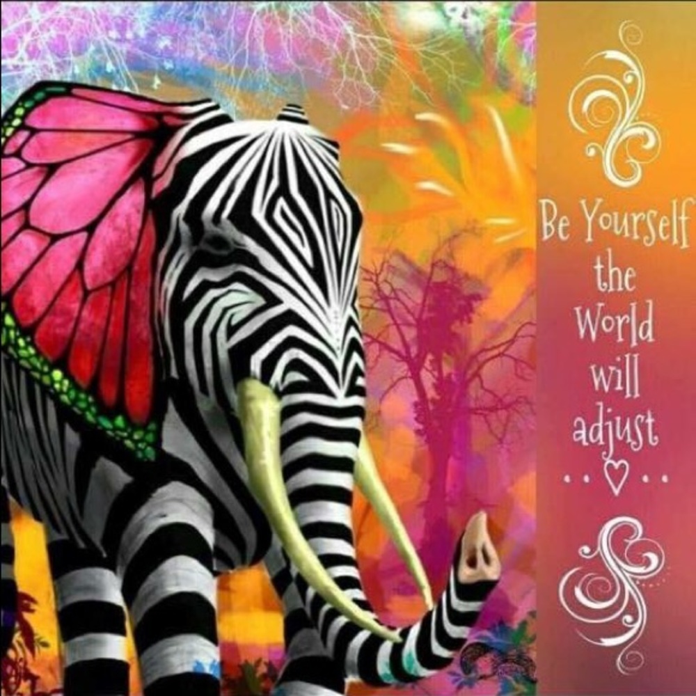 Meet your Posher, Isabella - Picture 4 of 8